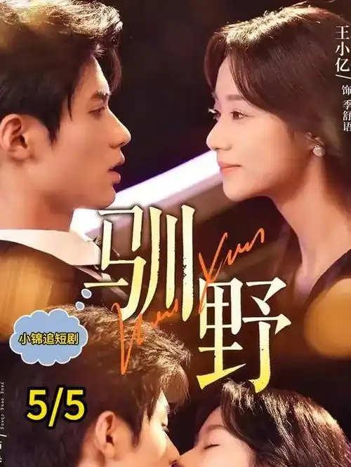 山河故人志 古装历史热播电视剧全集